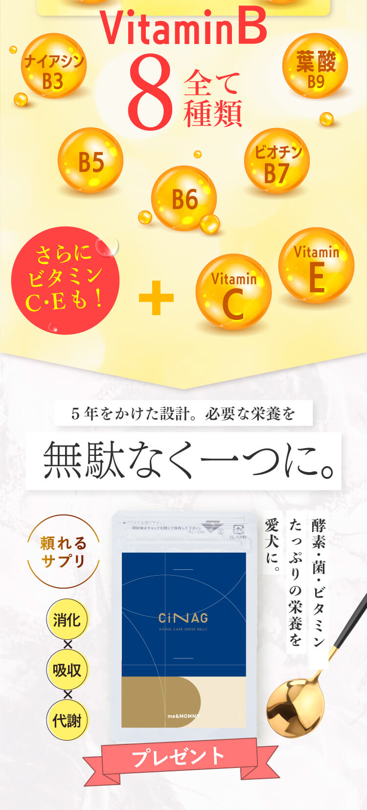 CiNAGプレゼント