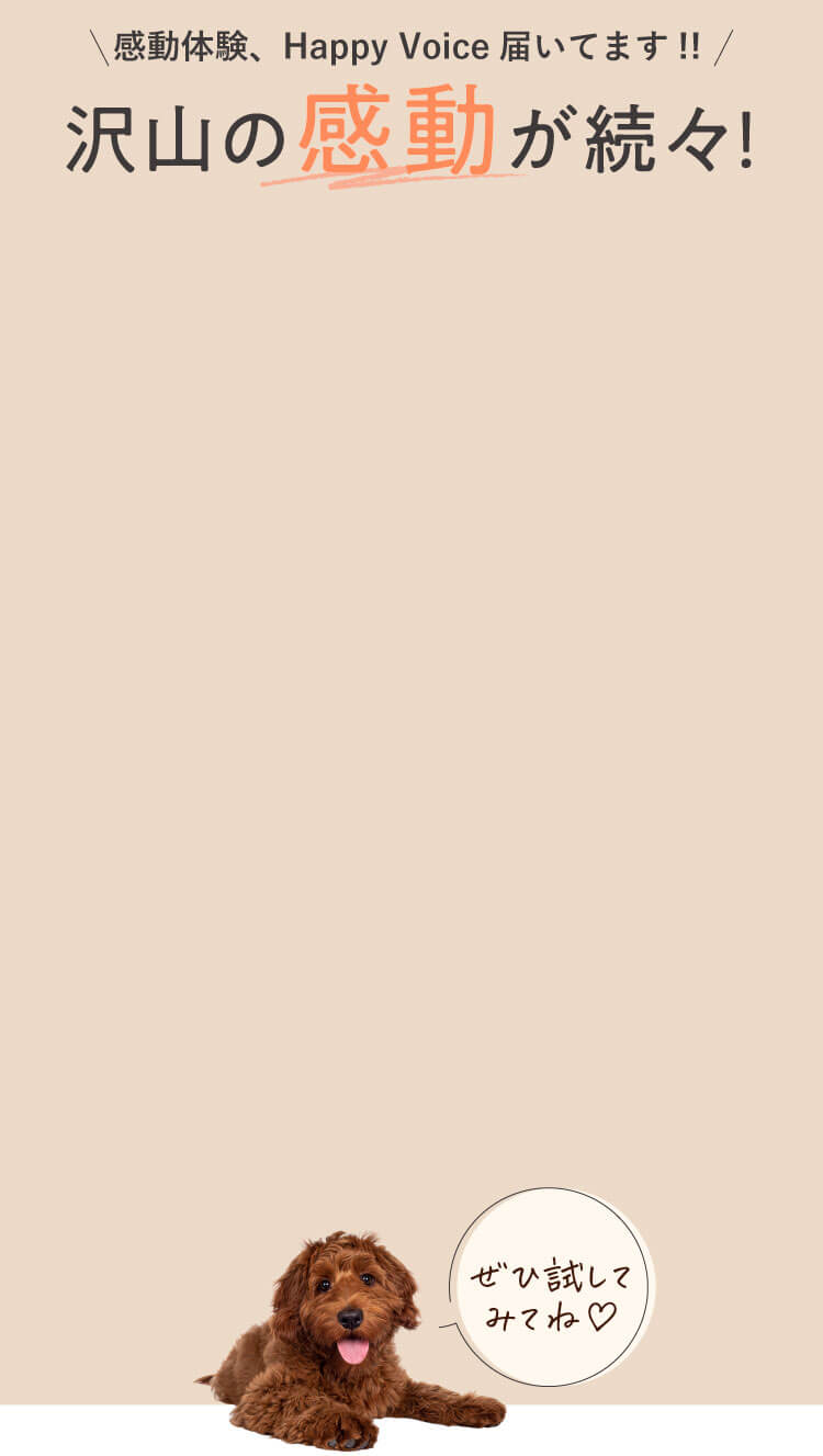 沢山の感動が続々！